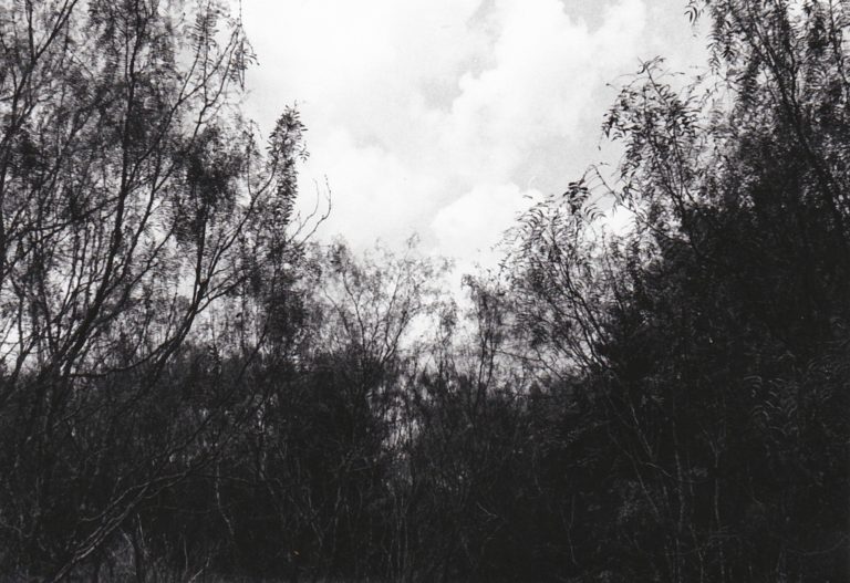 unknownlandscape